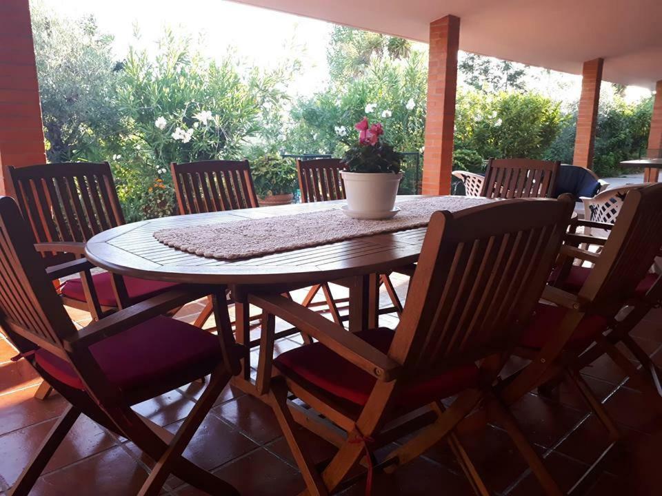 Quintinha Dos Cedros Villa Alfandega Da Fe Exterior photo